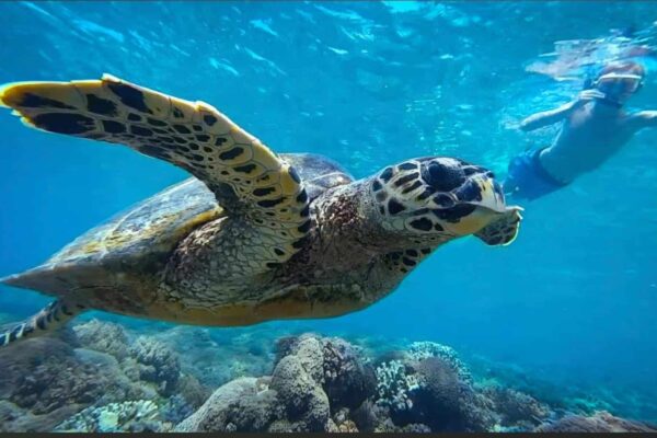 Motorreis Lombok Gili Asahan